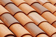 Roath Park clay roofing