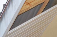 rated Roath Park soffit repair companies